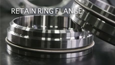 Retain Ring Flange - TMI